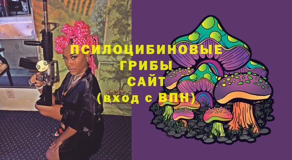 молекула духа Зерноград