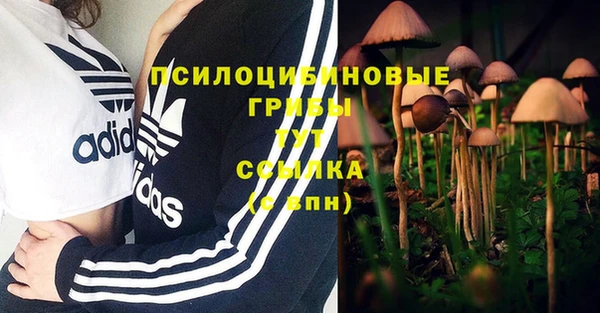молекула духа Зерноград