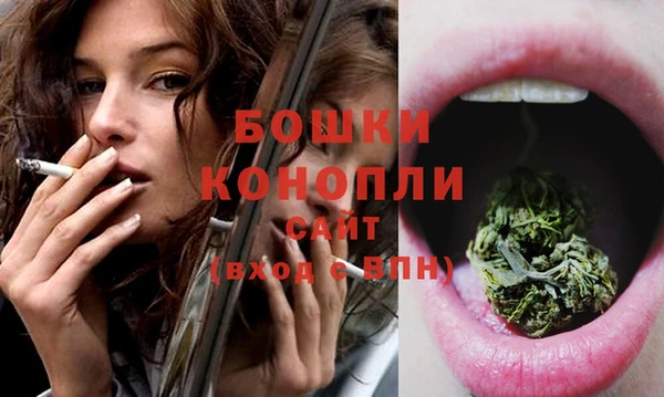 молекула духа Зерноград