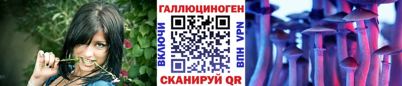 Псилоцибиновые грибы мухоморы  Купить  Новый Оскол 